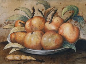Nature morte avec pêches et caroubiers - Giovanna Garzoni